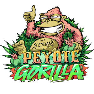 Peyote Gorilla Feminizovaná Semínka - 10