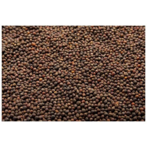 Červené zelí na microgreens, 50 g