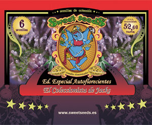 Mix Auto Jack - fem. a samonakvétací semínka 6ks Sweet seeds