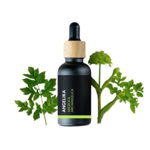 BIO Angelika - 100% přírodní esenciální olej (10ml) - Pěstík