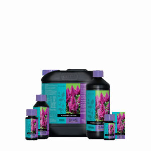 Atami B´cuzz Blossom Builder Liquid, 5L