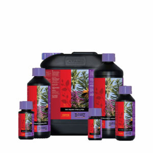 Atami B´cuzz Coco Bloom Stimulator, 1L